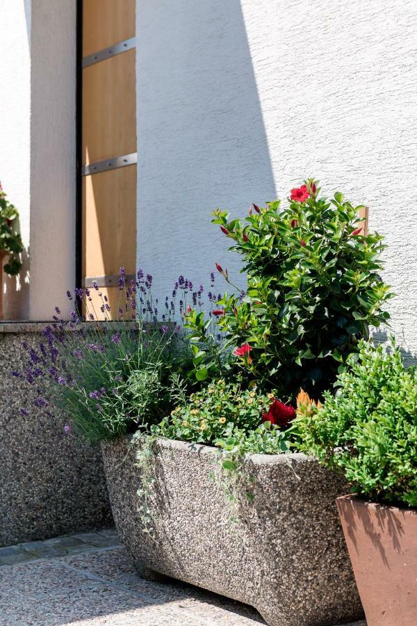 Rozna Dolina Apartment Laibach Exterior foto